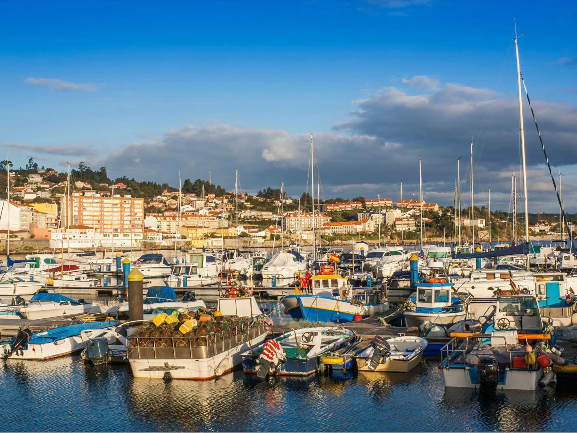 Top Sanxenxo 3000 *
